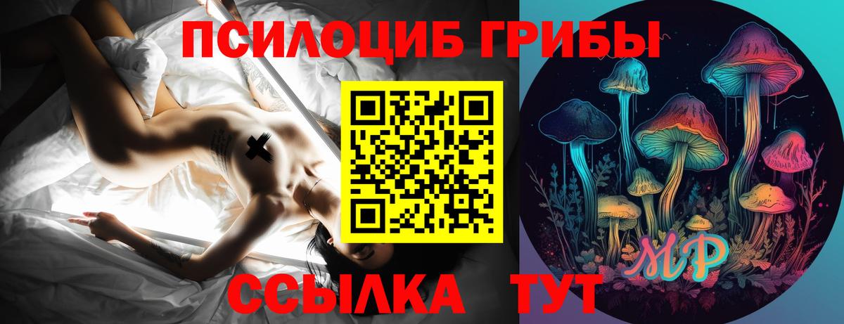 Мурино  Псилоцибиновые грибы ЛСД  Псилоцибиновые грибы мицелий  Вход с VPN 